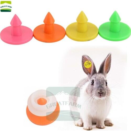100sets Rabbit ear tag word ear tag ear tag Rabbit earrings Veterinary ear tag Fox Marten Ear Tag Round Small animal ear tag