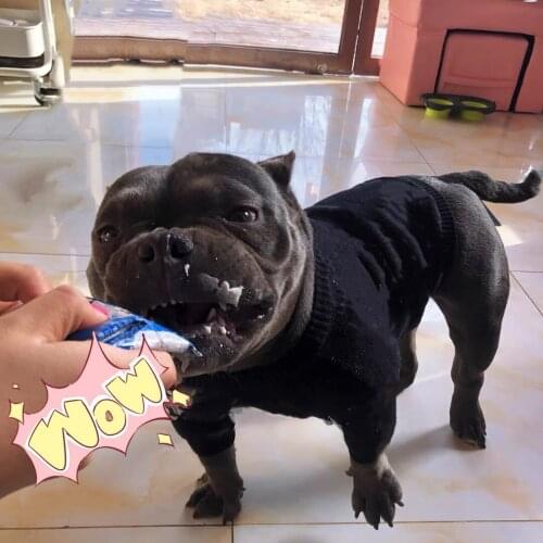 French Bulldog Winter Warm Sweater Dog Clothes Pet Puppy Hoodie Jacket Coat Dogs Costume Schnauzer Pomeranian Pug Teddy GKC45