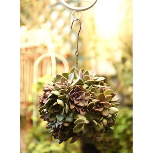 2Pcs 15cm Iron Frame Ball Shaped Metal Planter Wall Art Craft DIY Home Decor