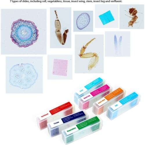 35pcs Prepared Microscope Slides Microscope Specimen Slide Biological Prepared Digital Microscope Specimen Slide Kids Gifts