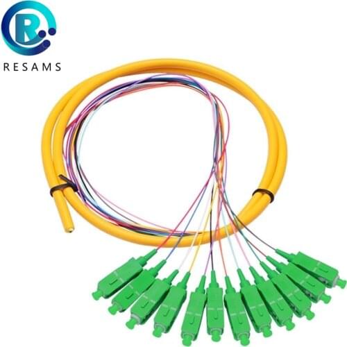 Resams 12 Core SC APC Transmission Stability Low Insertion Loss Professional Manufacturer Branch Fiber Optic Patch Cord