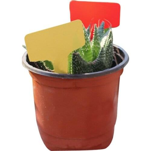 100 PCS Breeding label Gardening Plant Tag PVC Waterproof Hanging Sign Fleshy Nursery Stock Flowers Tag Labeling LBS
