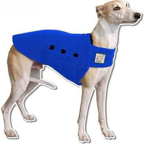 Dawasaru for Whippet Tummy Warmer Dog Vest Motorcycle Car Stickers DIY Waterproof Anime Decals Vinyl Decoration 13cm X 13cm