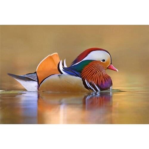 Mandarin duck Paintings Resin Direct Selling The Diamond To Draw Counted Cross Stitch Kits Stick A Picture Rhinestones A7020R