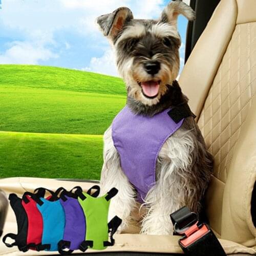 SU GENERIS Harnesses