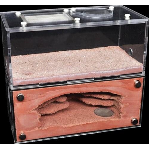 High Quality Concrete Ecological Ant Farm Acryl Ant House Pet Anthill Workshop Castle Sand Nest Sandcastle Insect Box 16*7*14CM