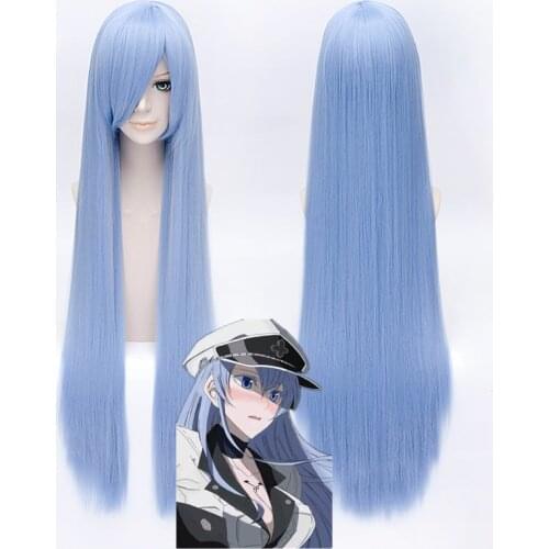 Akame Ga KILL! Esdeath Long Straight Cosplay Wigs High Quality Heat Resistant Synthetic Fake Hair Blue + Free Wig Cap