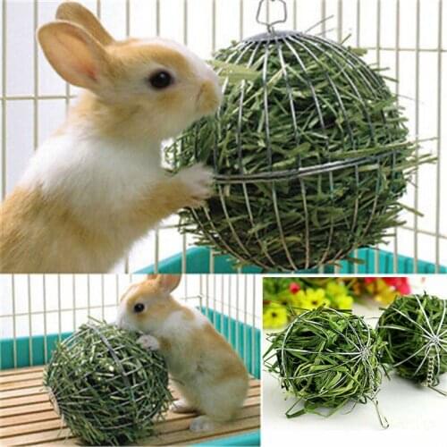 Round Sphere Feed Rabbit Pet Toy Guinea Pig Hamster Stainless Steel Dispense Exercise Hanging Hay Ball