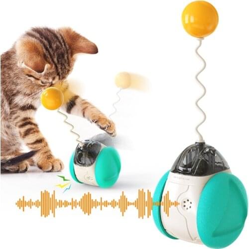 Tumbler Balanced Wheel Cats Chasing Toys Interactive Kitten Catnip Toy Pet Training Entertainment Game Accessories