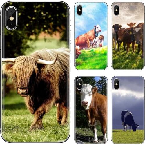 Cow Animal For Samsung Galaxy A10 A30 A40 A50 A60 A70 a12 a31 a41 a51 a71 a20e a21s M30 Online Silicone Phone Case