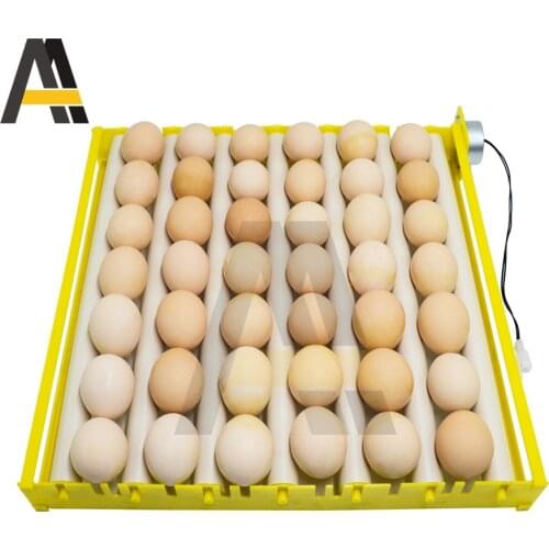 Farm Hatchery Incubator 110V 220V Brooder Machine 1-42 Egg Hatchers Chicken Automatic Eggs Roller Incubator Bird Quail Brooder