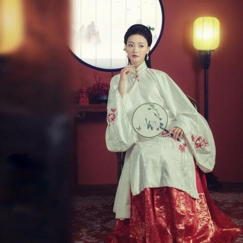 WYJN Red Blue Ming Dynasty Wide Sleeve Costume Female Horse-Face Dress Delicate Embroidery Hanfu Princess Drama Photography