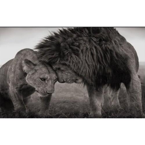 Lions Head to Head Black and White Canvas Art Painting Posters and Prints Scandinavian Cuadros Wall Art Picture for Living Room