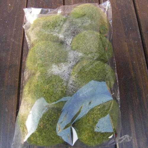 8Pcs Miniature Artificial Moss Plant Plush Stone Micro Landscape Landscaping Home Decoration Craft DIY