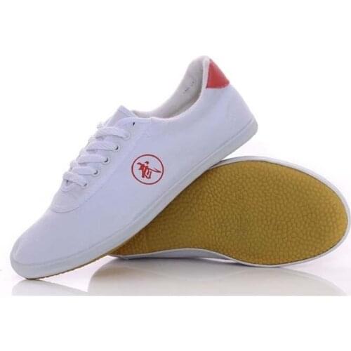Martial Arts Shoes Mens and Womens Tai Chi Shoes Canvas Tendon Sole Training Shoes Sports Shoes Childrens Performance Shoes