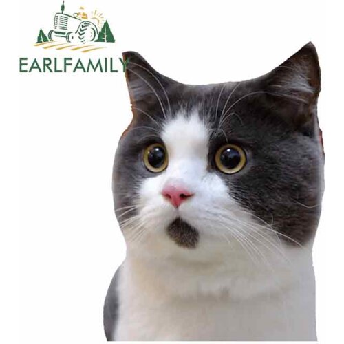 EARLFAMILY 13cm x 9.8cm for Surprise Cat Camper Stickers Fashion Vinyl Decal DIY Custom Printing Suitable for Fold GTR EVO SX