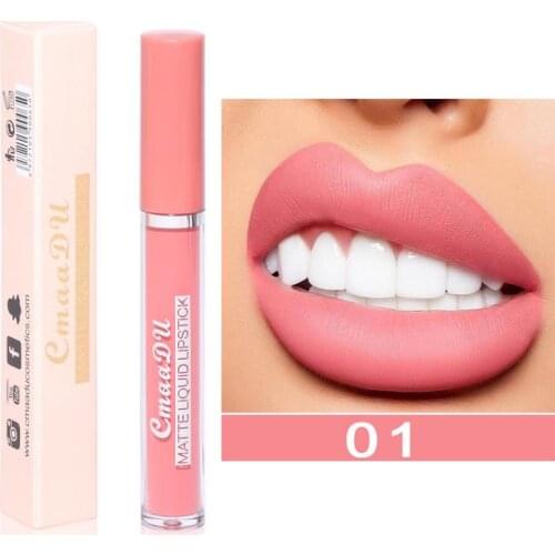 1Pc Sexy red Lipstick Matte Lip Gloss Lip Glaze Waterproof Long Lasting Lipgloss 10 Color Lip Tint Makeup Cosmetic batom TSLM1