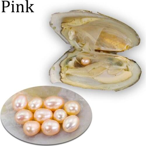 Bulk Oysters 10pcs Natural Pink Color Freshwater Oyster Pearls Love Wish Pearl Party Gift Mussel AAA Real Rice Oval Pearls FP142