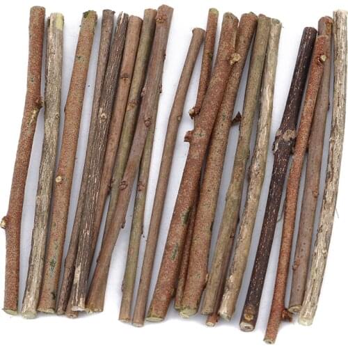 20pcs/set Original Natural Small Wooden Sticks Grocery Branches Wooden Sticks DIY Materials For Garden Wedding Table Decoration