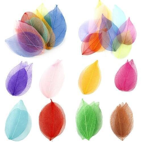 20 Pieces Crafts Pressed Dried Leaves Golden Natural Skeleton Leaves DIY Scrapbooking Wedding Party Festival Decoration Supply