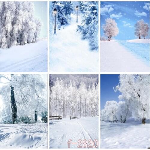 Winter Natural Scenery Photography Background Forest Snow Landscape Travel Photo Backdrops Studio Props 21514 AF-36