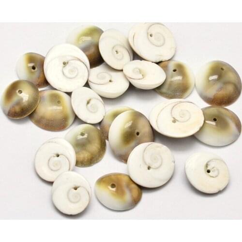 About 480pcs/500g Flat Round Spiral Shell Beads for Jewelry Findings DIY Making