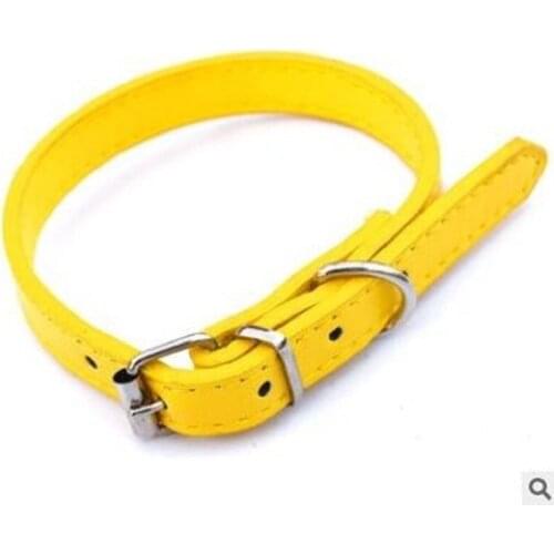 Pet light plate with pet without accessories collar pet products solid color collar manufacturer wholesale hot yellow 1.5x30cm