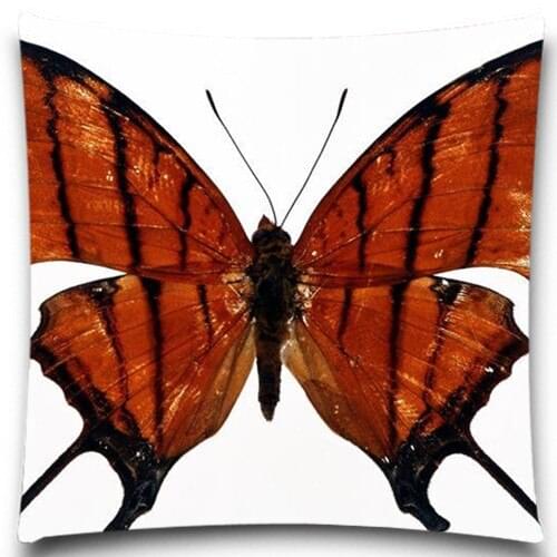Fashion animals Butterfly specimens pattern Cushion Cover Colorful butterfly Sofa/car/chair Cotton polyester home decoration