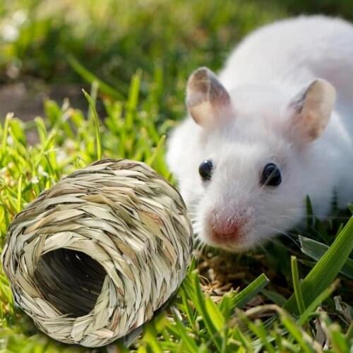 Hamster Nest Tunnel Shape Bunny House Grinding Teeth Grass Woven Hamster Hut Toy Bur-free Small Animal Hut Toy Pet Supplies