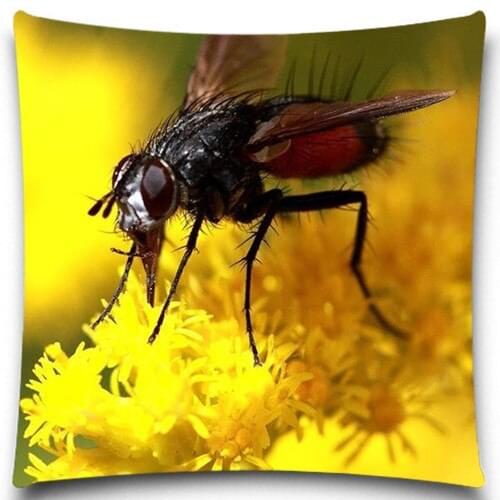Bee and Chrysanthemum Pattern Printed Cushion Cover Lovely beetle Ladybug Home Car Decoration