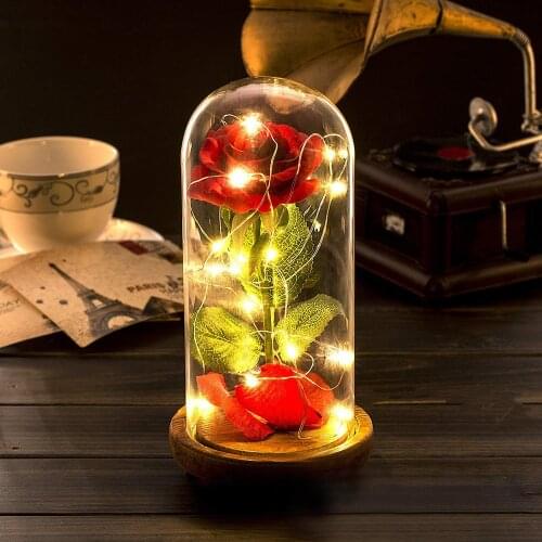 "Beauty and the Beast" Rose Kit, USB Red Silk Rose and Led Light with Fallen Petals in Glass Dome ValentineS Day Present gift