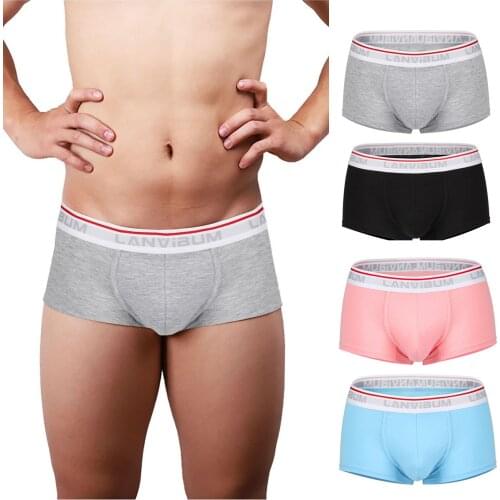 Men Panties Underwear Shorts Boxer Cotton Letter Boxers Mens Sexy Underpants Fruit Color Breathable U-Convex Breathable Briefs