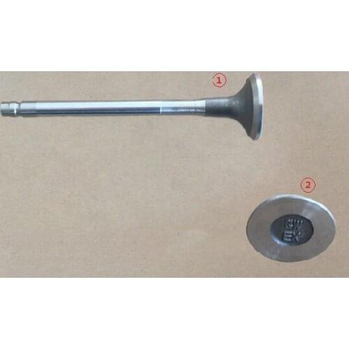 Intake and exhaust valve for Great wall haval H9 GW4D20T engine OEM：1007011XED61 1007012XED61