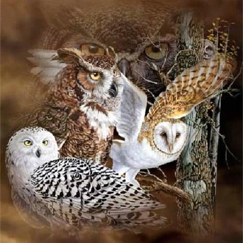 Full 3D Diamond Embroidery Cross Stitch Three Owl DIY Full Square Stick Drill Drawing Resin Diamond Painting Rhinestone