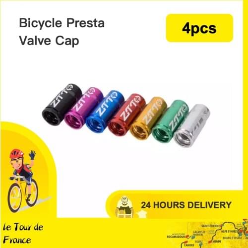 Peaches Bicycle Valves
