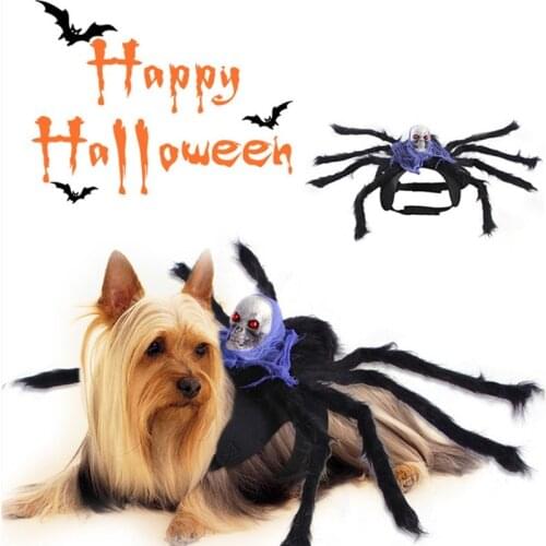 Pet Spider Chest Back Halloween Creative Cats Dogs Small Dogs Skull Transformation New Products