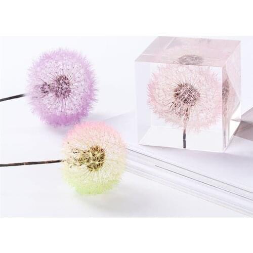 Dried Flowers UV Epoxy Resin Filling Dandelion Natural Flower DIY Resin Mold Filler Decoration Jewelry Making Accessories