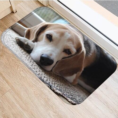 40x60cm Cute Diy Print Floor Mat Bathroom Ground Mat Slip Door Bath Pad Rug Living Room Carpet Kawaii Animal Dog
