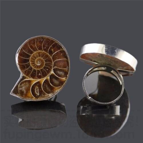 Druzy Trendy Natural Stone Conch Animal ring Ammonite Fossils Seashell Snail Rings For Man and Women Free Shipping