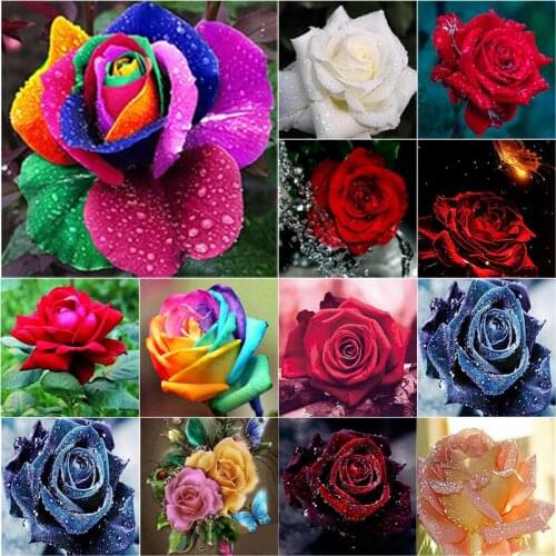 New 5D DIY Diamond Painting Rose Flower Diamond Embroidery Scenery Cross Stitch Full Square Round Drill Home Decor Manual Gift