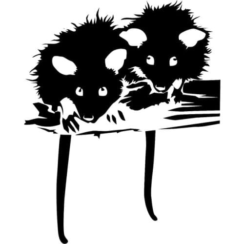 17*13.7cm Awesome Possums Car Stickers Animals - Wildlife - Die Cut Vinyl Sticker Window Decal car accessories