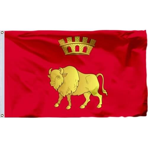 Belarus Hrodna Voblasts Escut Oblast Grodno Flag 150X90cm (3x5FT) 120g 100D High Quality Banner Free Shipping