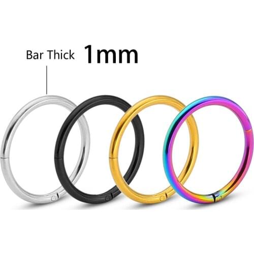 20G Septum Clicker Nose Ring Hinge Segment Ear Helix Tragus Hoop Round Earrings Steel Stainless Closed Body Piercing Jewelry 18g