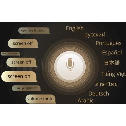 Optional Built in Voice Control Function for Ownice K6 Plus K7 Don't Sell separately