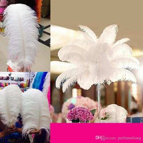 Factory 10 colors Hot Sell 20-45cm(8inch~18inch) DIY Ostrich Bulk Feather Plumes for Wedding centerpiece table centerpiece