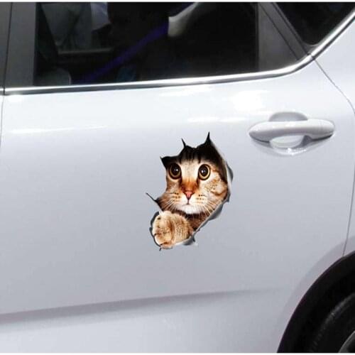 Car Sticker Animal Kitten Cat 3D Funny Personality Simulation Motorcycle Decoration Auto Decals Car Styling Accessories