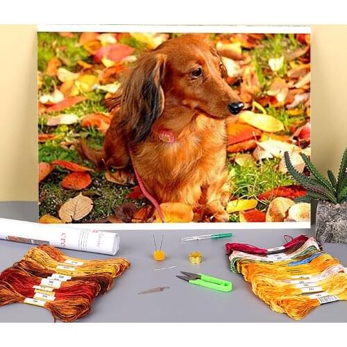 Animal Dog Dachshund Printed Water-Soluble Canvas 11CT Cross-Stitch Complete Kit DIY Embroidery DMC Threads Craft Stamped