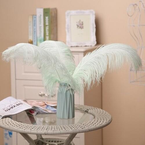 Macaron(mint green) ostrich feathers 2018 popular Dyed high quality ostrich plumes for home&wedding decorations 55-60cm 50pcs