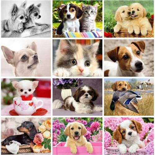 5d animals diamond painting chihuahua dog labrador mosaic art picture embroidery cross stitch stones picture puzzle wall decor
