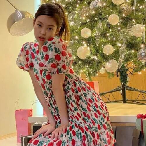 Early spring 21 year Nordic Rose Dress with bubble sleeve and high waist floral pleated Baby Dress